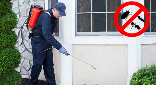 Sarayönü Böcek ve Haşere İlaçlama böcek ilaçlama ve haşere kontrolü — ilaclama-tr.com